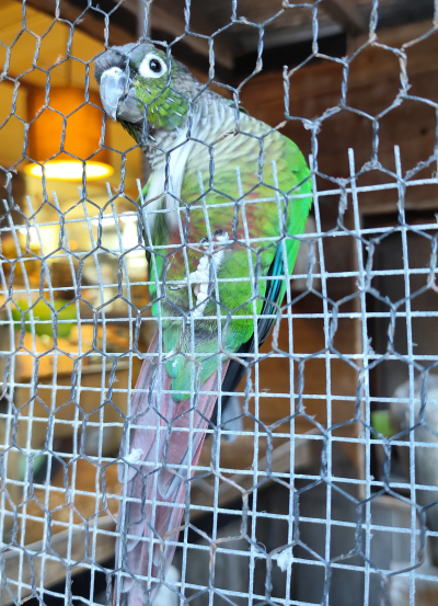 沖縄本島の最南端の糸満市に嫁いだがちまい（食いしんぼう）な私が日々の何気ない生活の出来事や育児ネタなどを気楽に綴るホームページです。沖縄市にあるおしゃれなパン屋さん